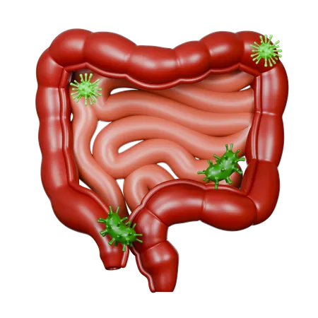 Large Intestine Diseases  3D Icon