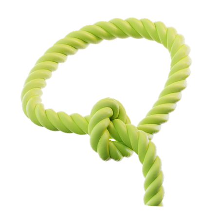 Lasso Tool  3D Icon
