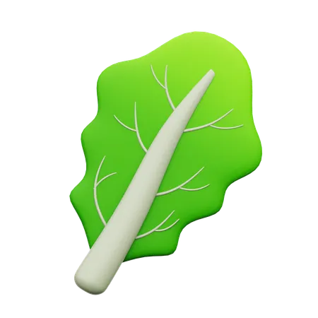 Dorso  3D Icon