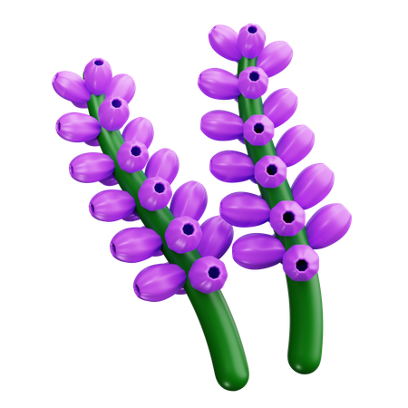 Lavender  3D Icon