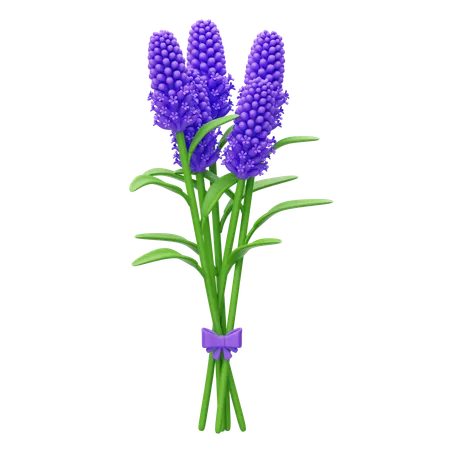 Lavender Bouquet  3D Icon