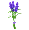 Lavender Bouquet