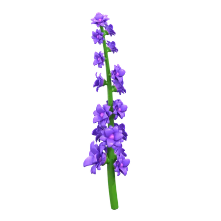 Lavender Flower 3 D Icon 3D Icon