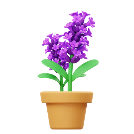 Lavender Flower Pot  3D Icon