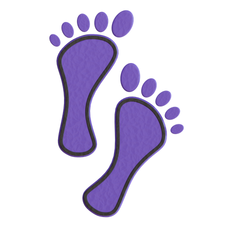 Laxmi Footprint  3D Icon