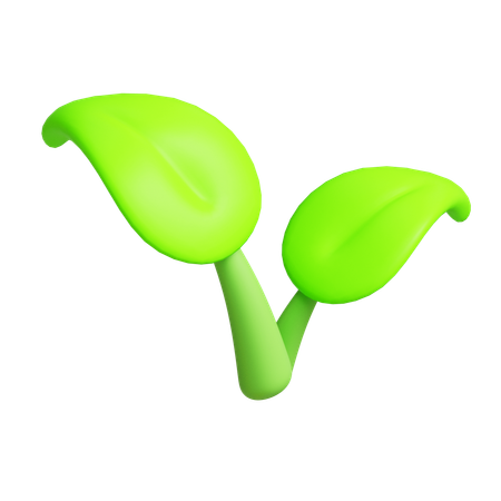 葉  3D Icon