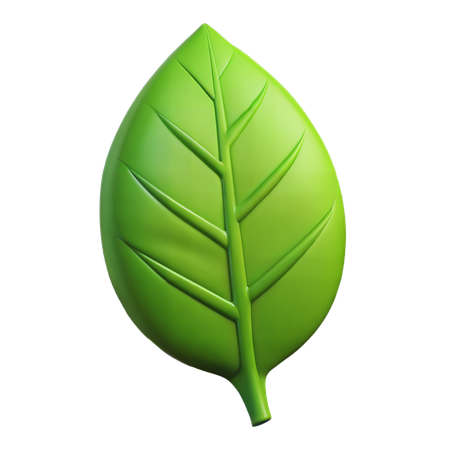 Leaf  3D Icon