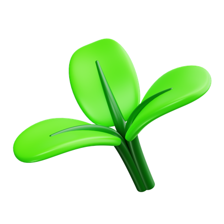 Leaf  3D Icon