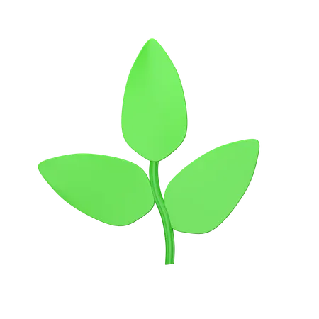 Leaf  3D Icon