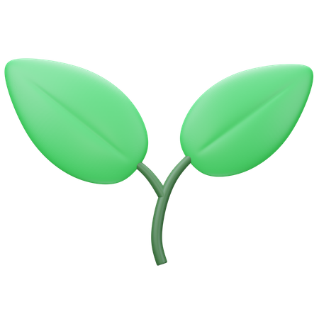 Leaf  3D Icon