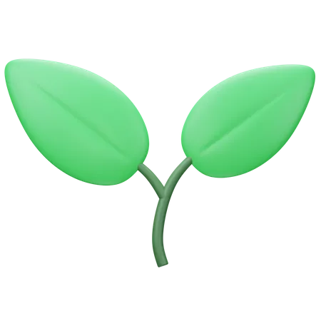 Leaf  3D Icon