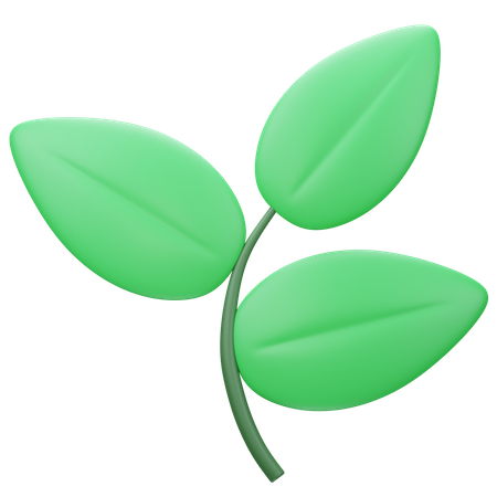 Leaf  3D Icon