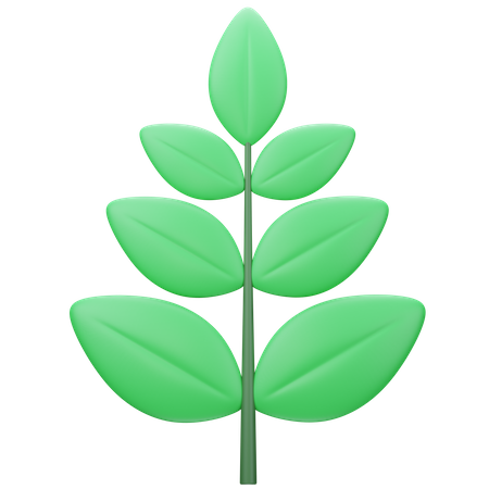 Leaf  3D Icon