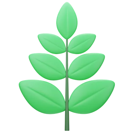 Leaf  3D Icon