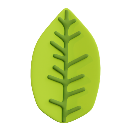 Leaf  3D Icon