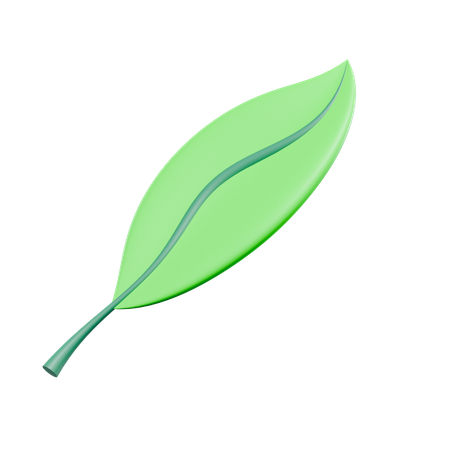 Leaf  3D Icon