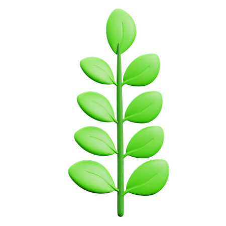 Leaf  3D Icon