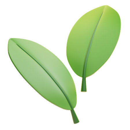 Leaf  3D Icon