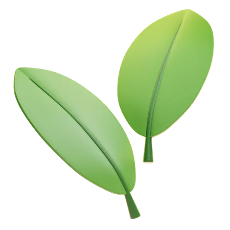 Leaf  3D Icon