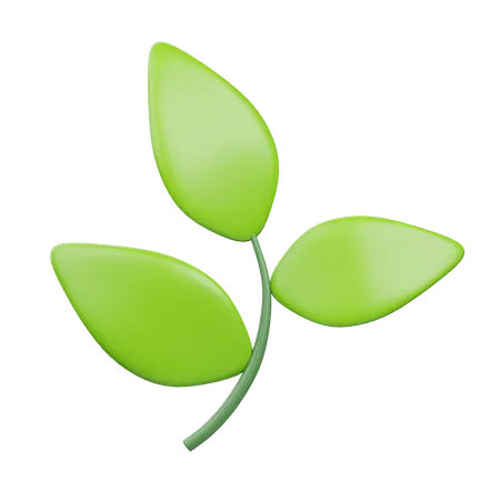 Leaf  3D Icon