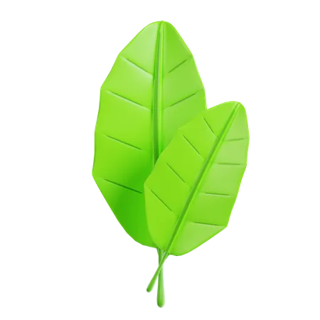 Leaf  3D Icon