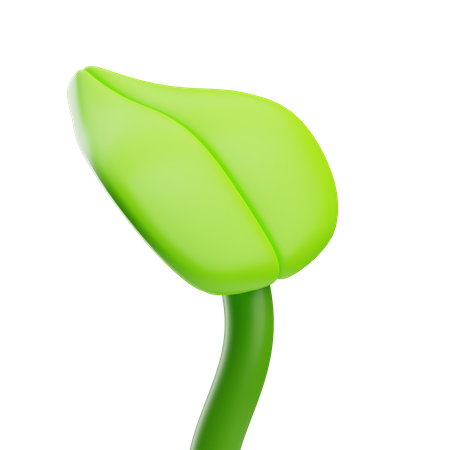 Leaf  3D Icon