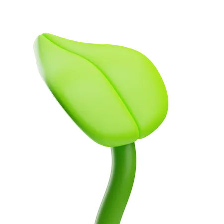 Leaf  3D Icon