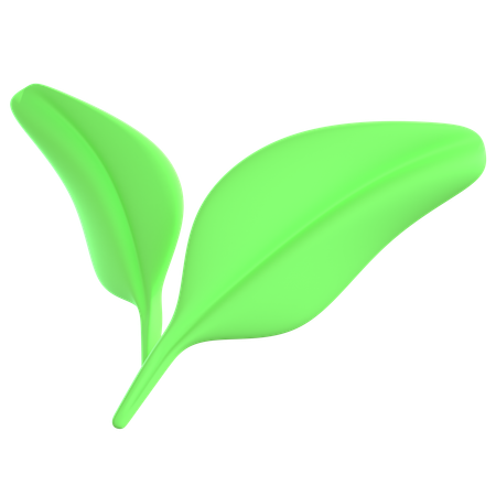 Leaf  3D Icon