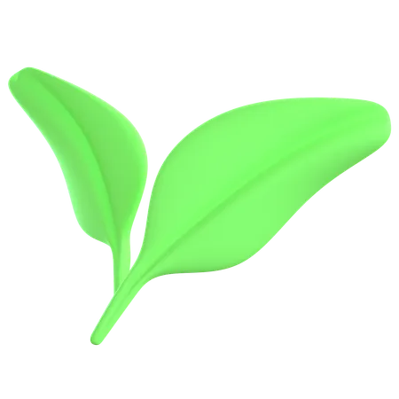 Leaf  3D Icon