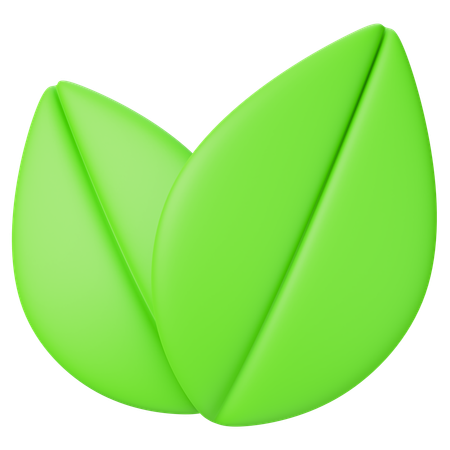 Leaf  3D Icon