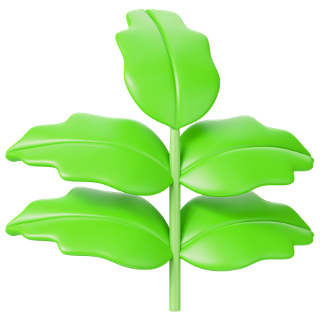 Leaf  3D Icon