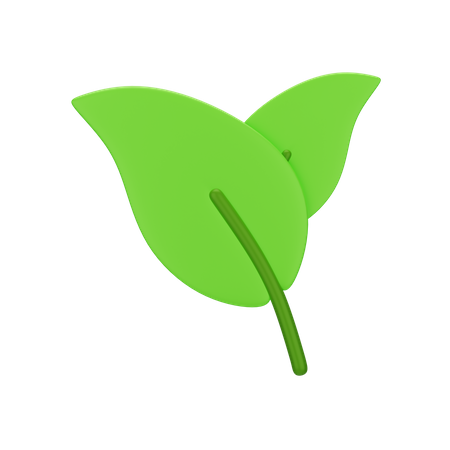 Leaf  3D Icon