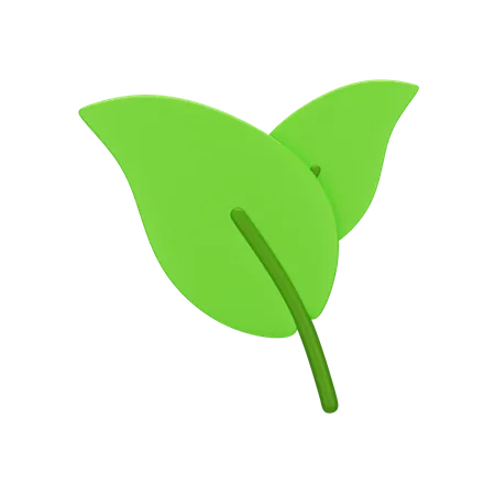 Leaf  3D Icon