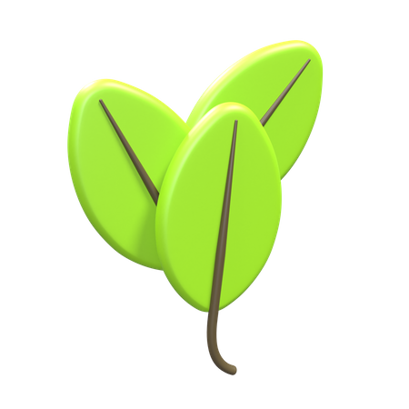 Leaf  3D Icon