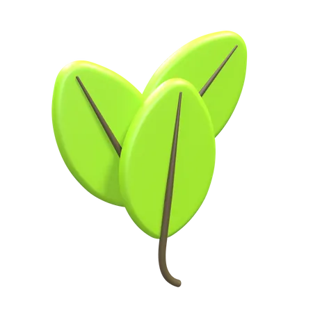 Leaf  3D Icon