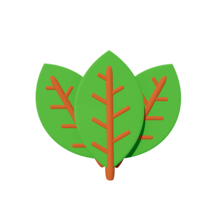 Leaf  3D Icon