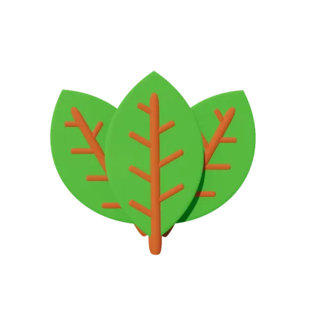 Leaf  3D Icon