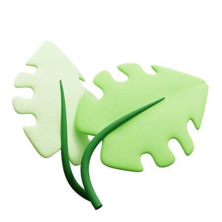Leaf  3D Icon