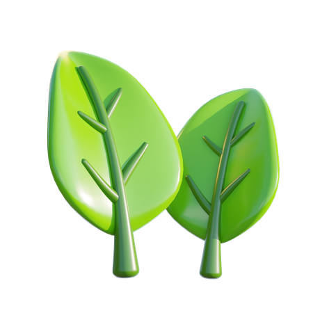 Leaf  3D Icon