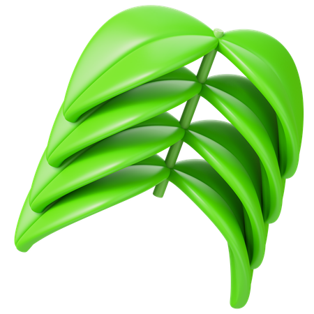 Leaf  3D Icon