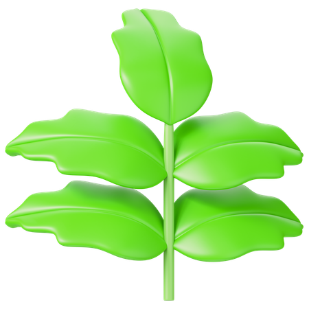 Leaf  3D Icon