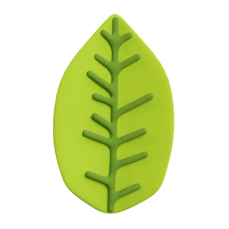 Leaf  3D Icon