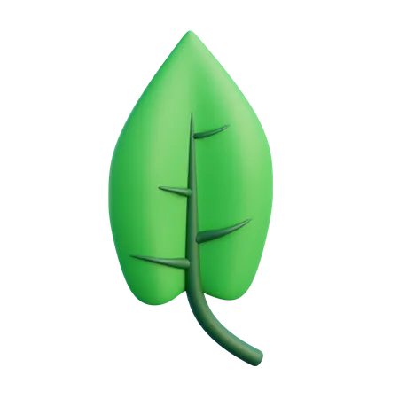 3 D Leaf With Isolated Background 3D Icon