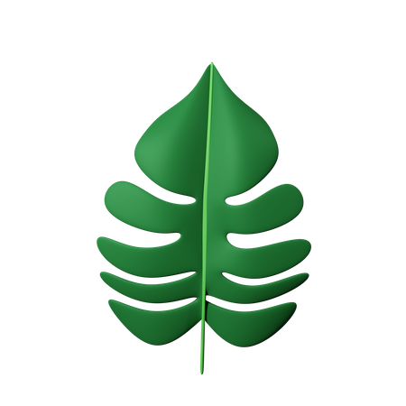 Leaf decoration  3D Icon