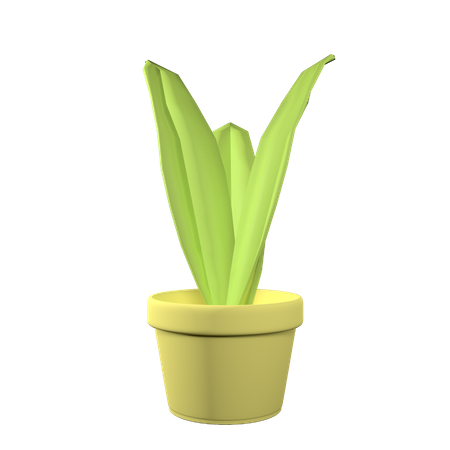 Leaf Pot  3D Icon