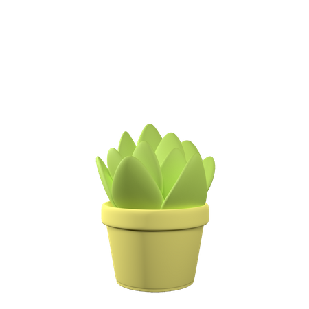 Leaf Pot  3D Icon