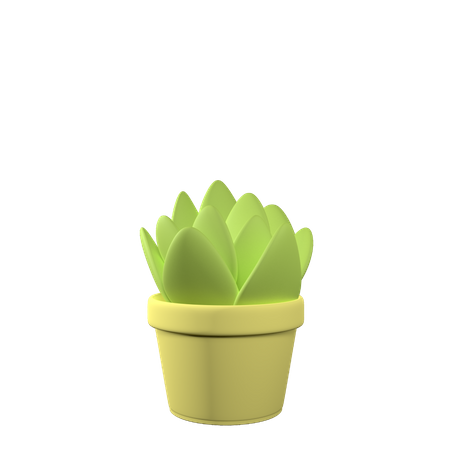 Leaf Pot  3D Icon