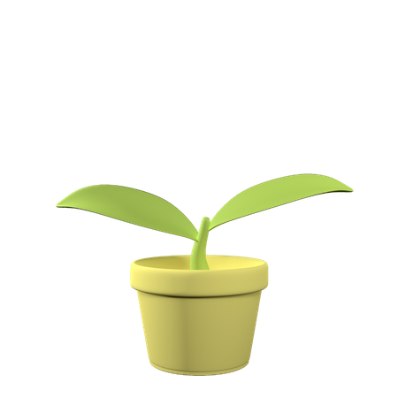 Leaf Pot  3D Icon