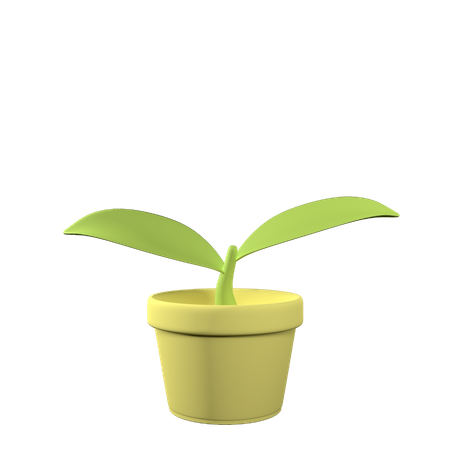 Leaf Pot 3D Icon