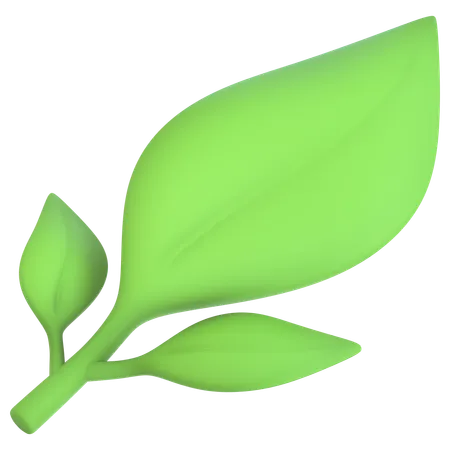 Leaf Symbol  3D Icon